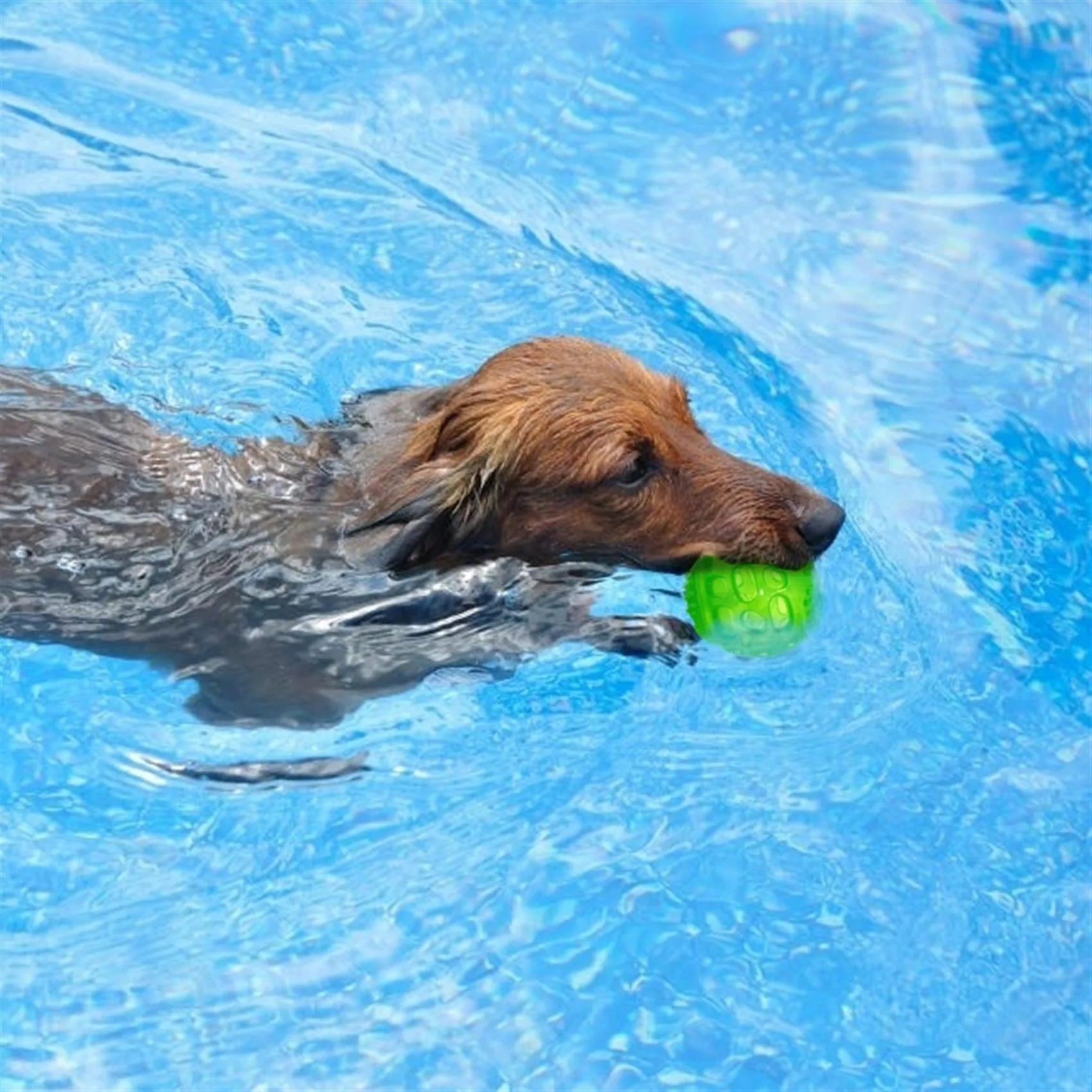 Pet Dog Chew Toy Ball Waterproof Squeak Sound Toys Bite Resistant Teeth Balls for Dogs Training Tooth Cleaning Interactive Toys 2