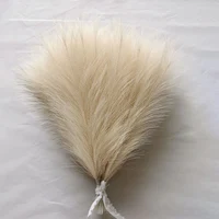 Faux Pampas Grass Beige 10PCS,Small Artificial Pompas Grass Decor for Vase,Fake Fluffy Pampas Floral for Home Wedding Boho Decor 2