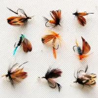 Sharpened Crank Hook Feather Dry Fly Insects Flies Set of 12Pcs 2