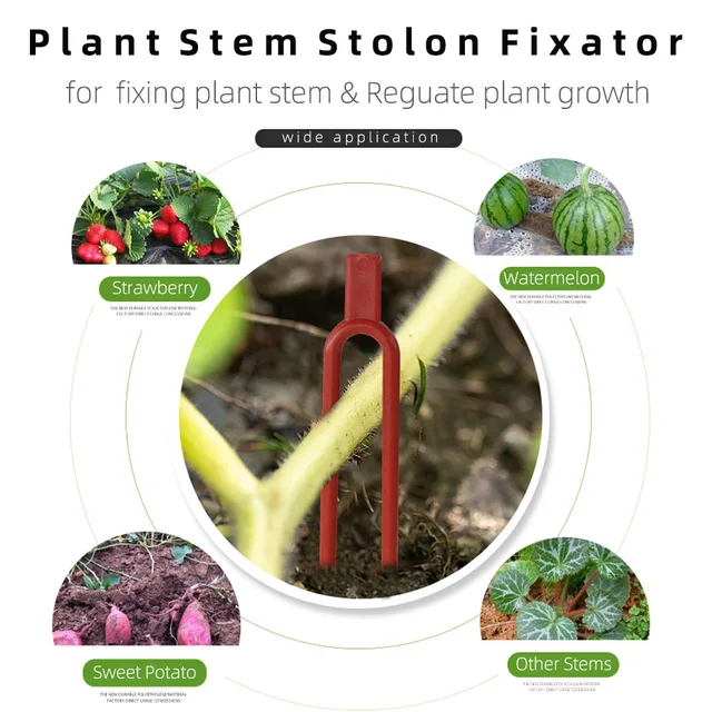 50Db Eper Piros Ültetési Rögzítő Klipek Hegymászó Támogató Kerti Szár Villa Görögdinnye Szerelvény Szőlő Tartó - Image 3