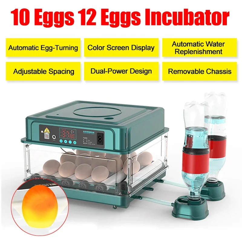 

Poultry 10/12 Eggs Incubator Tool Turner For Automatic Chicken Brooder Quail Digital Incubation Equipment Fully Goose Hatchery