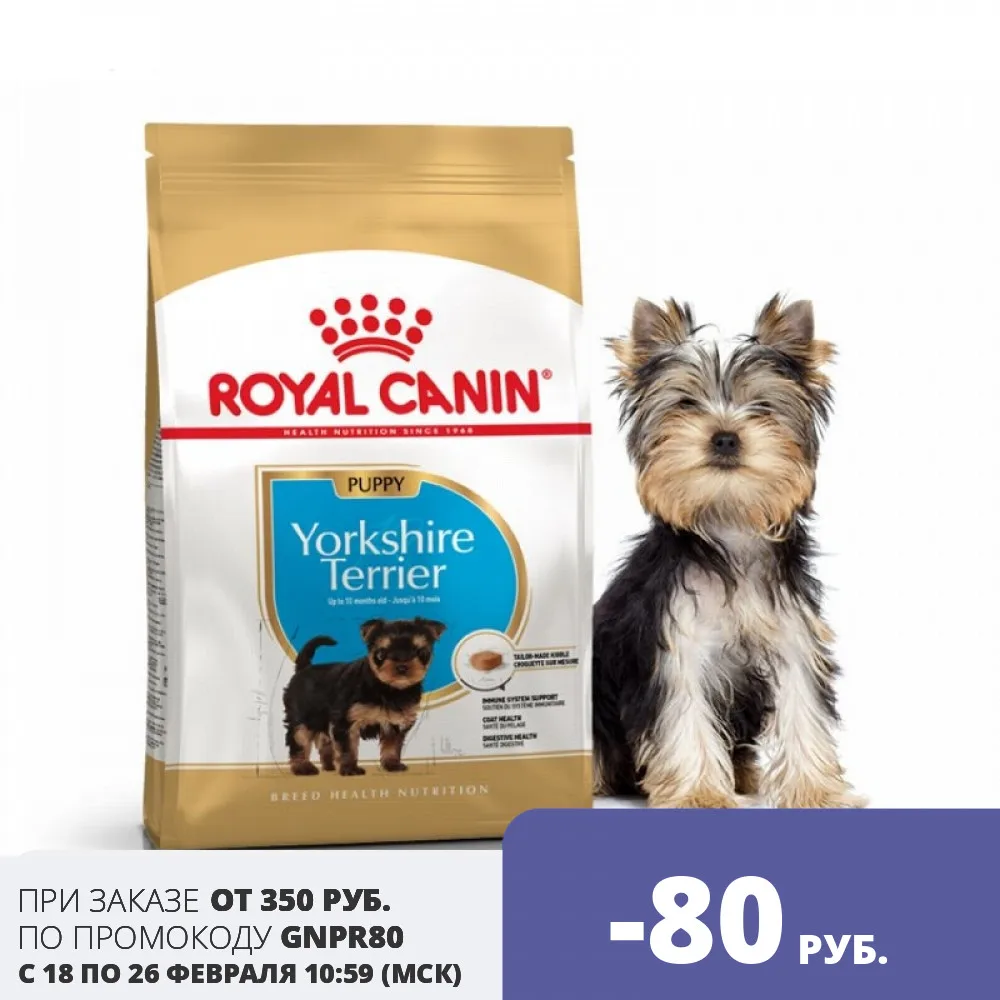 Royal Canin Yorkshire terrier junior food breed puppy chicken 500g. | Дом и сад