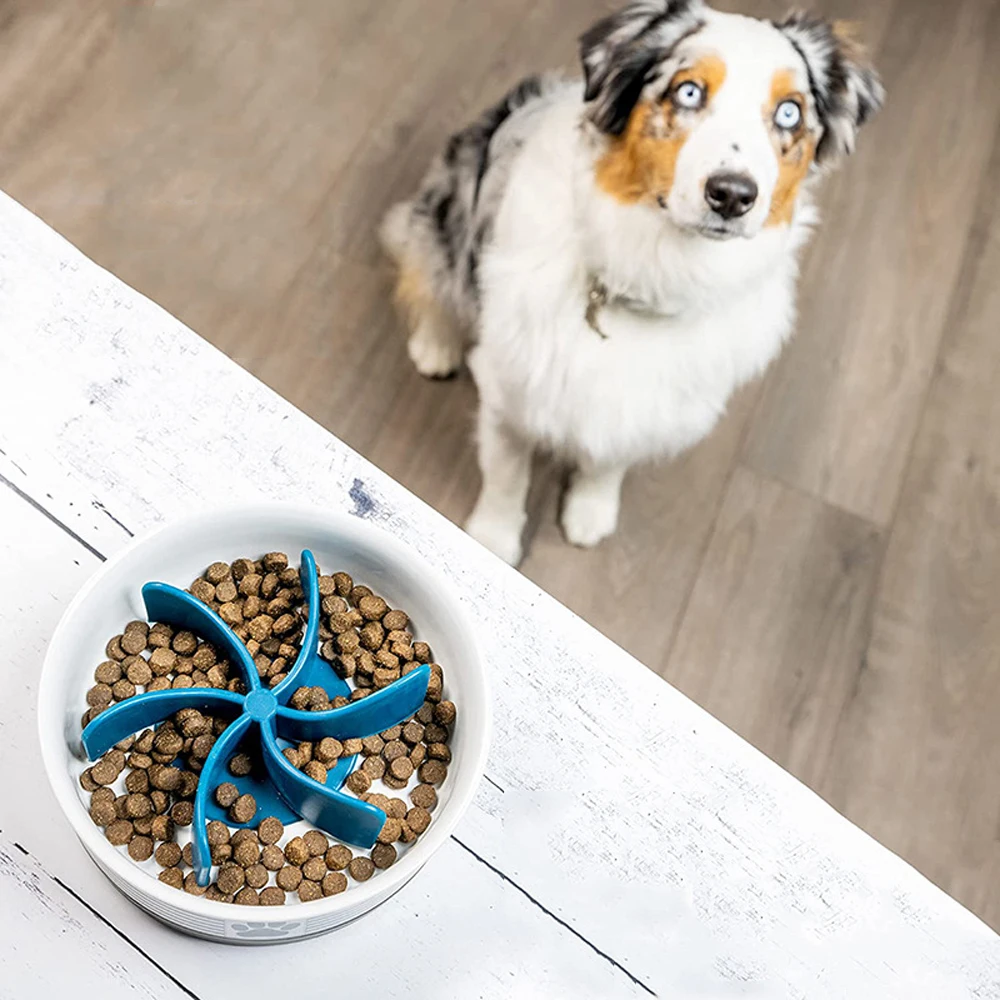 Dropshipping Dog Food