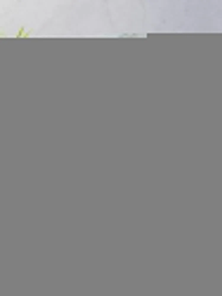 �ʷϻ� ��Ÿ�� ���� �� ������ ���, ǫ���� ķ��, ��������Ų ���Ÿ� ������ ���, ���� ��� ���