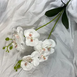 Elegant Artificial Butterfly Orchid Arrangement with Real Touch Leaves for Home and Wedding Decor (White)