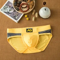 Addicted Dropshipping Mannen Ondergoed Mannelijke Onderbroek Bikini Broek Laagbouw Mannen Ondergoed Comfortabel Ademend Slips 2