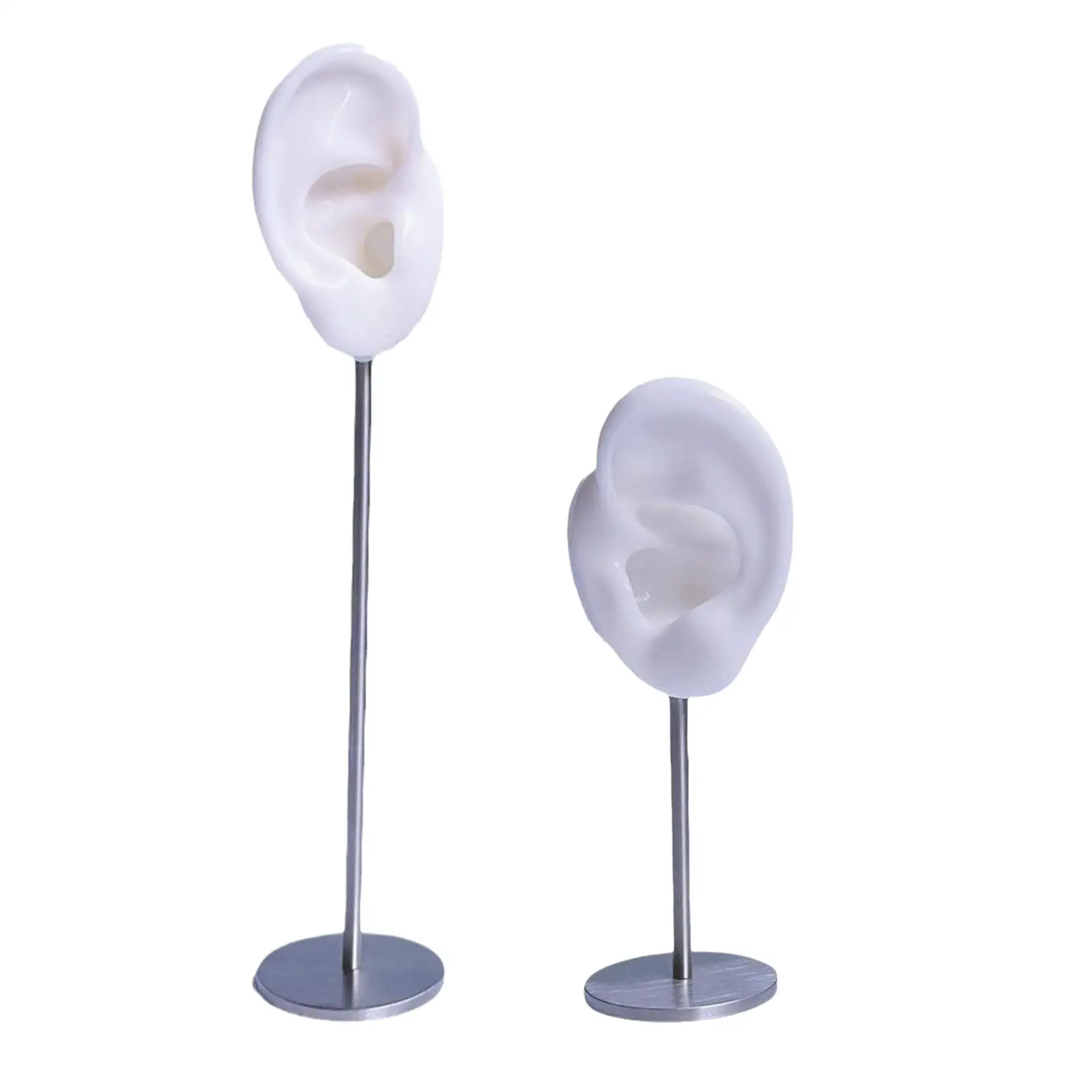 

Earring Display Holder Ear Shaped Stud Holder Round Base Earring Holder Desktop Decor Mannequin Stand for Birthday Wedding Party