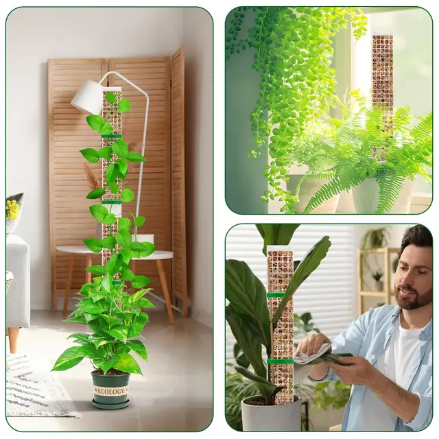 Garden Subject Plants Moss Pole Flower Plant Climbers Bonsai Accessories Pots Tutors ,for Planters Plants Growth Holder Support 3