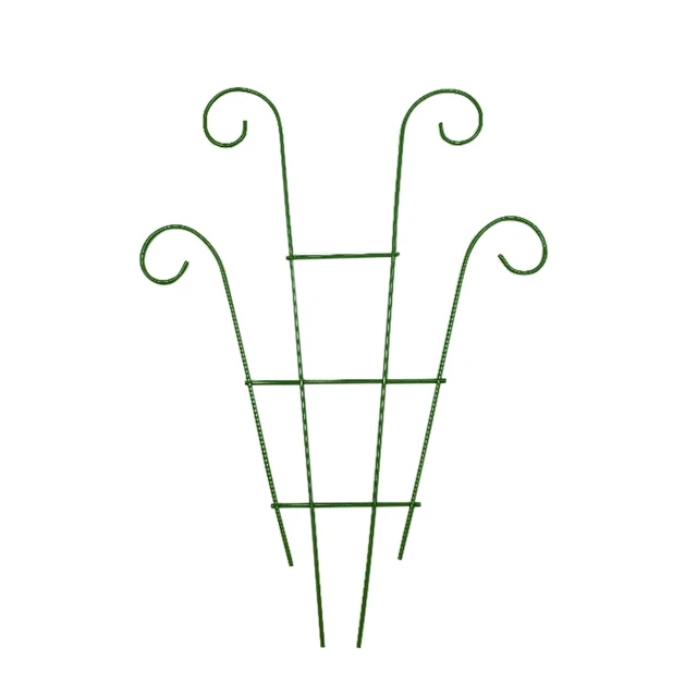S2 Green