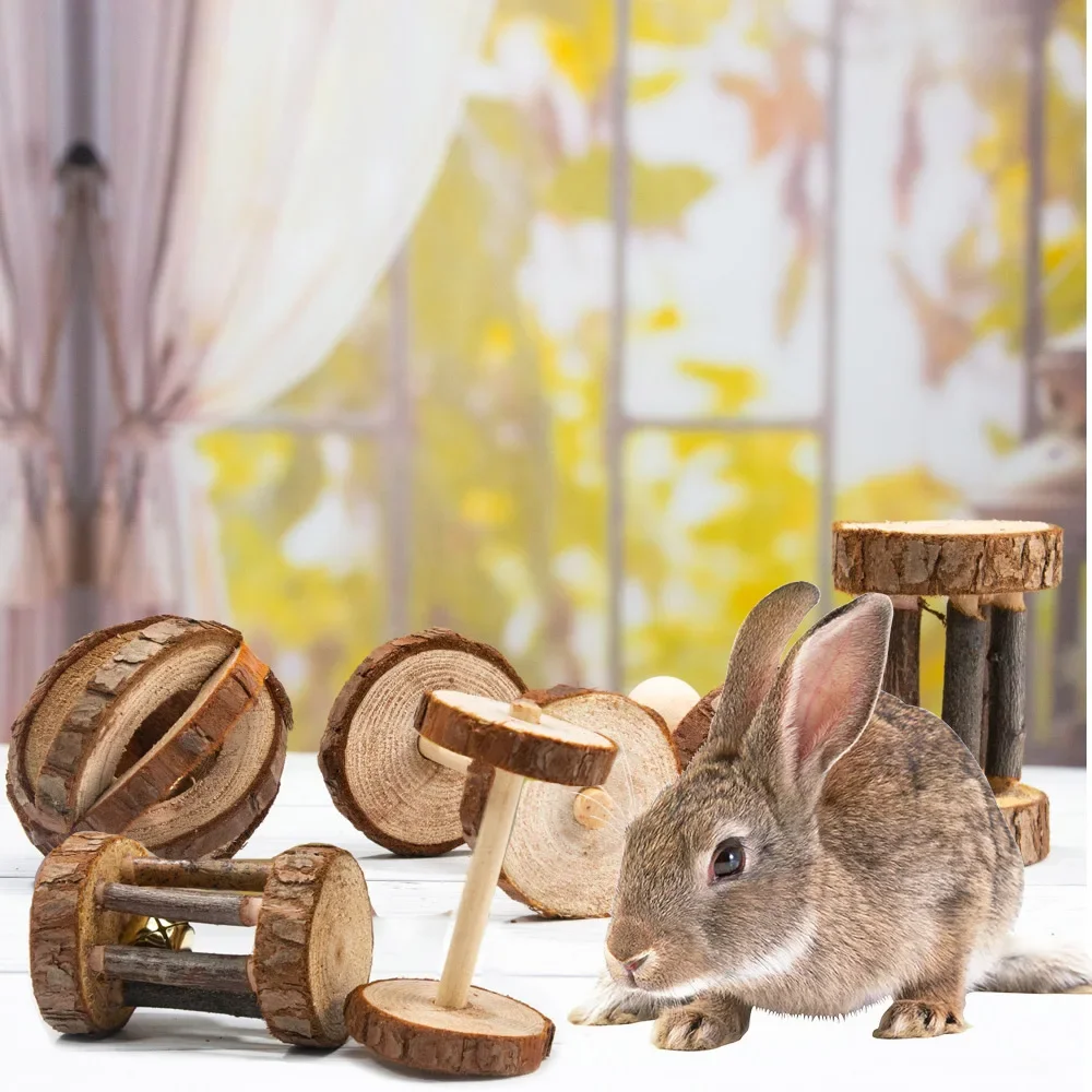 lapin jouant avec un jouet en bois
