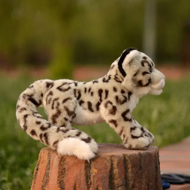 

gift model clouded leopard