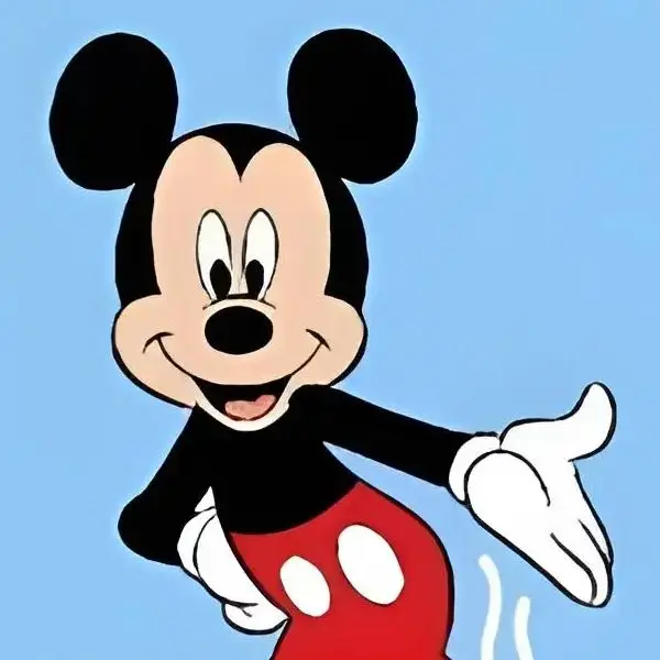 Disney Home Textile Store