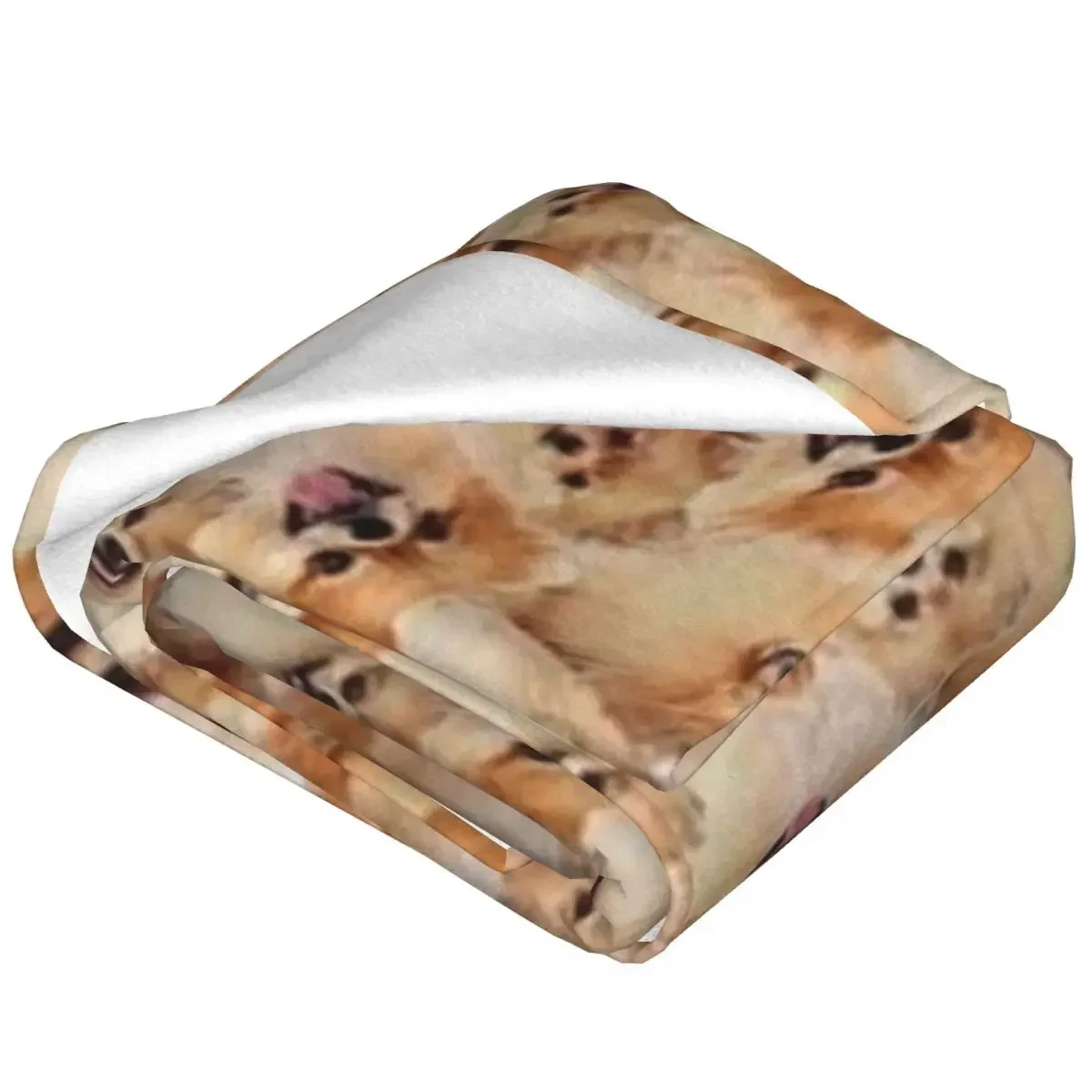 Pomeranian Blanket Pet Dog Picnic Flannel Throw Blanket Soft Durable Bedroom Design Bedspread Birthday Present 2