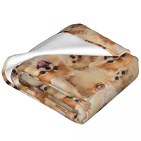 Pomeranian Blanket Pet Dog Picnic Flannel Throw Blanket Soft Durable Bedroom Design Bedspread Birthday Present 2