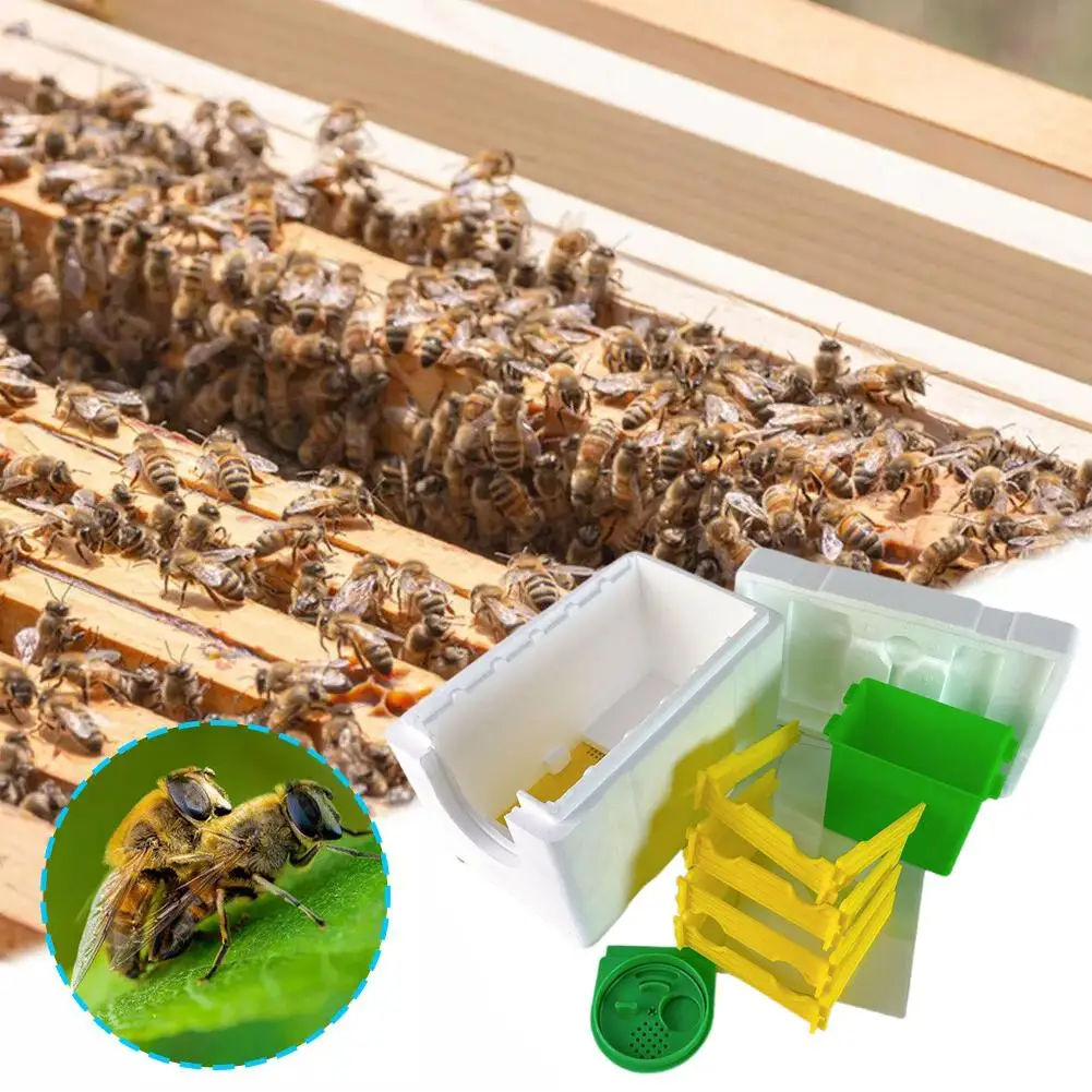 Multi-Function Home Bee Hive Pollination Boxes Mini Beekeeping Harvest Beekeeper Bee Supplies Hive Mating Box Beehive W5K3
