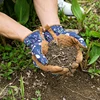 1Pair Leather Garden Gloves For Weeding Digging Planting Gardening Gloves For Women Thorn-Proof Puncture-Resistant Work Gloves 3