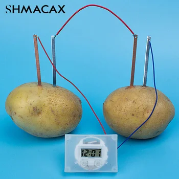 Potato Battery Science Kit 1