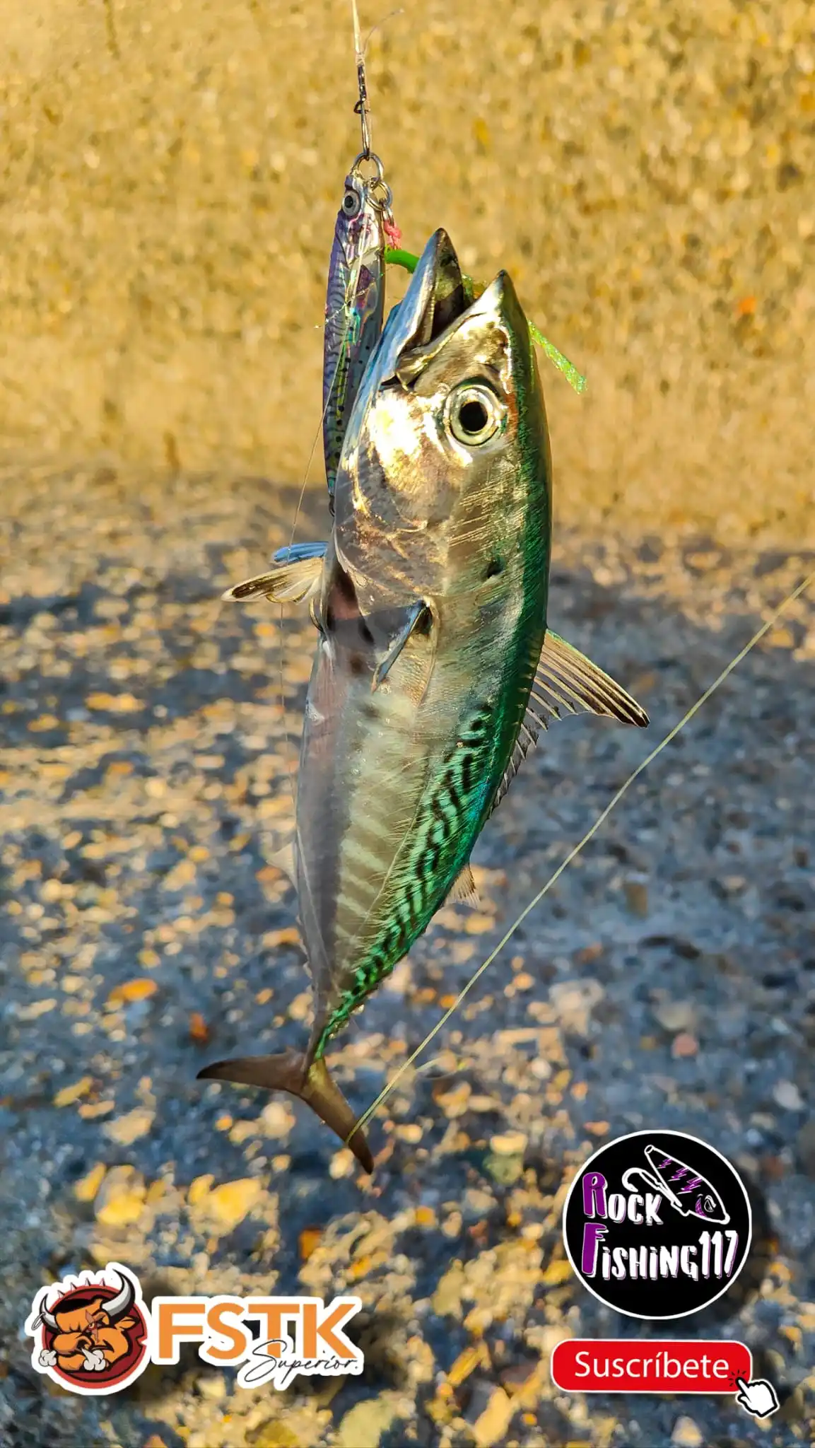 FSTK メタルジグオフショアジギングルアー 20g30g40g スロージグ