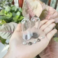 5/8/10X 50x20mm Clear Tube Bell Jar Glass Cover Dome Glass Vial Pendant Lace Base Home Room Table Display Decor Flower Ornaments 1