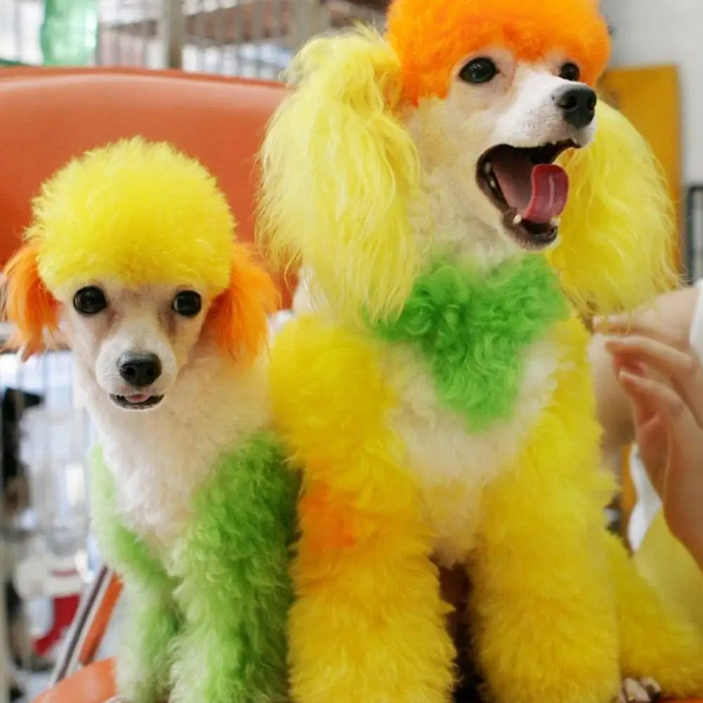 Pet Hair Coloring Dye 5