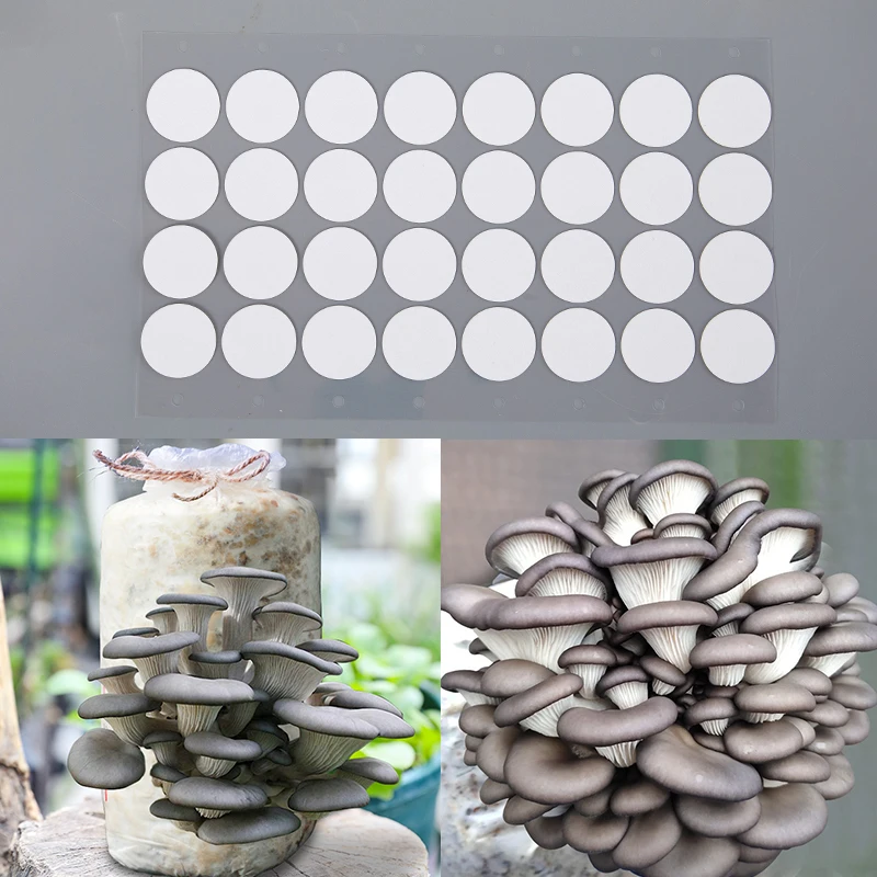 32Pcs/sheet 20mm Hydrophobic Breathable Membrane for Mushroom Cultivation Wide Mout Synthetic Sterile Mesh Filter Paper Stickers
