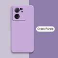 Grass Purple
