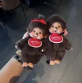 2pcs s4