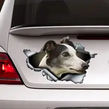 

black and white whippet car decal, whippet magnet, black and white whippet whippet sticker, pet decal