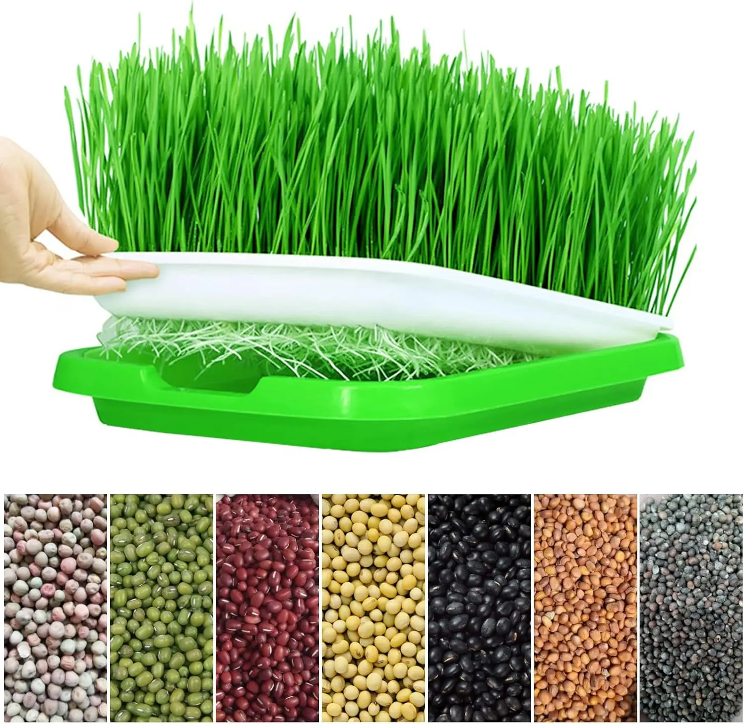 Hydroponic Germination Tray Microgreens Sprouter Tray Hydroponic Sprouting Horticultural Systems Garden Nursery Potted