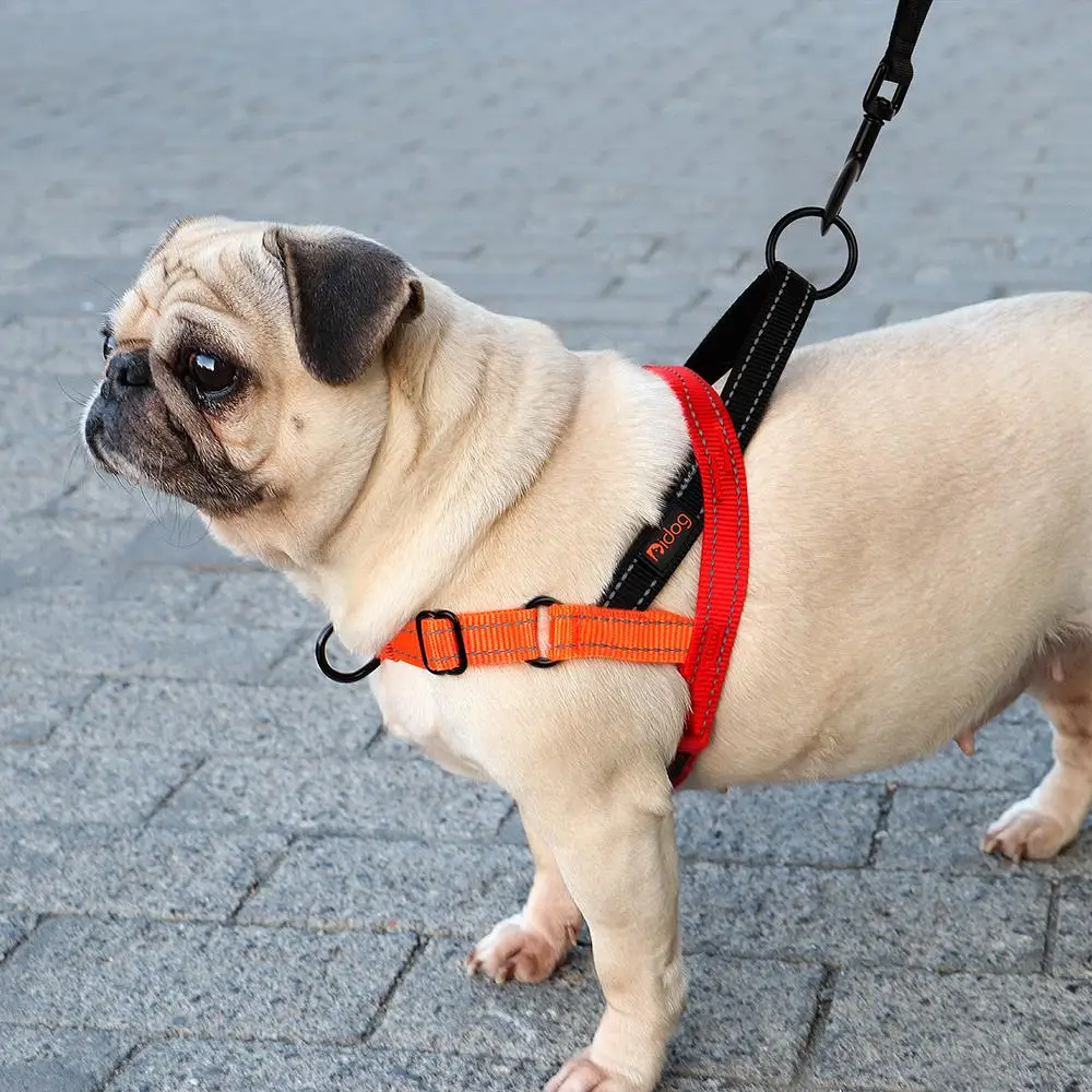 Reflective Dog Harness – Adjustable No-Pull Vest for Small & Large Dogs 5