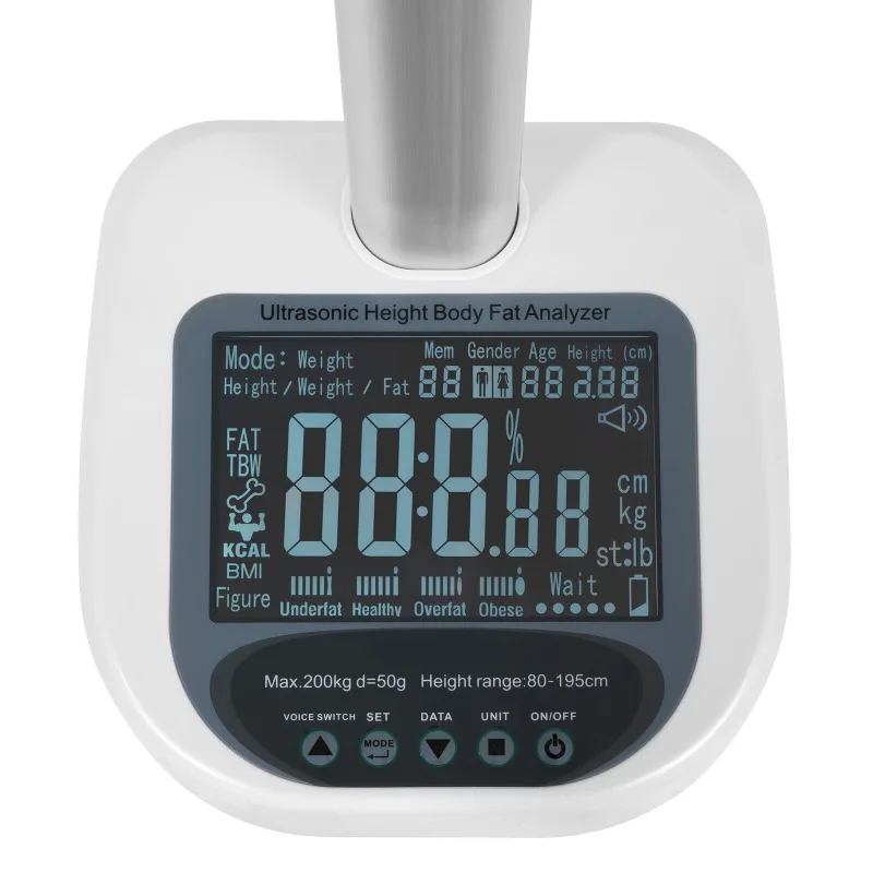 440lb Professional Medical Scale with Height Measurement