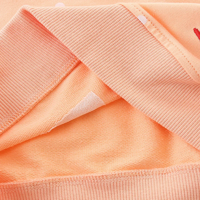 Baby Girls 2025 Autumn Spring Kids Clothes Children's Clothing Cartoon Chicken Chick Sweatshirts Tops Cotton