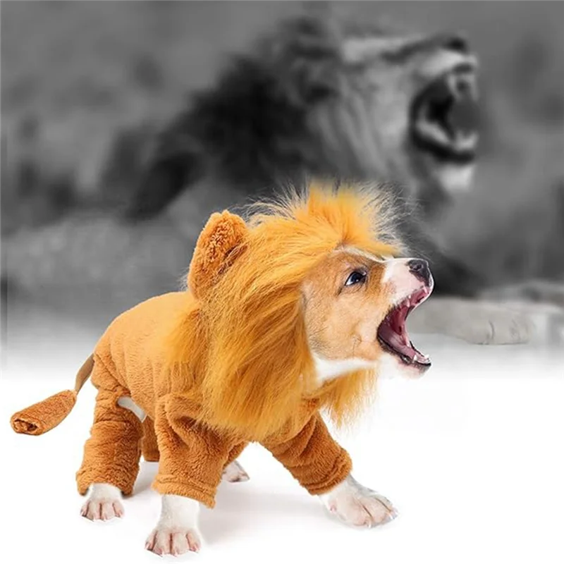 Dog Lion Costume 3