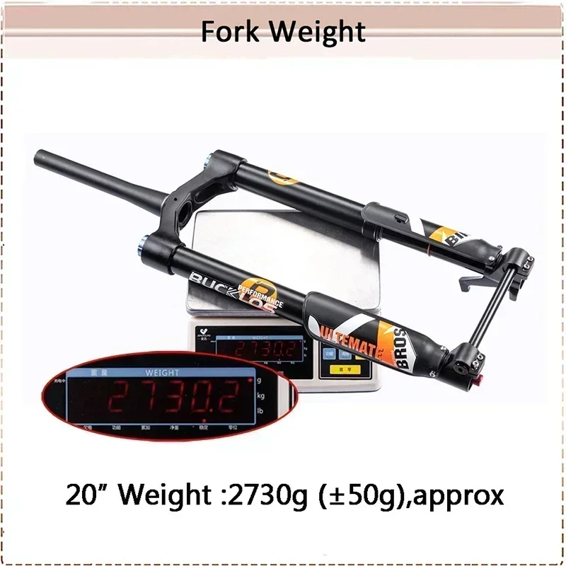 BUCKLOS 20 26 Inch E-Bike Snow Beach DH MTB Bike Suspension Fork
