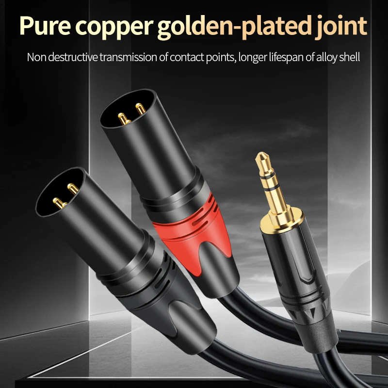 Premium AUX to Dual XLR Audio Cable - Balanced Sound Cord for Microphone, Speaker, and Amplifier