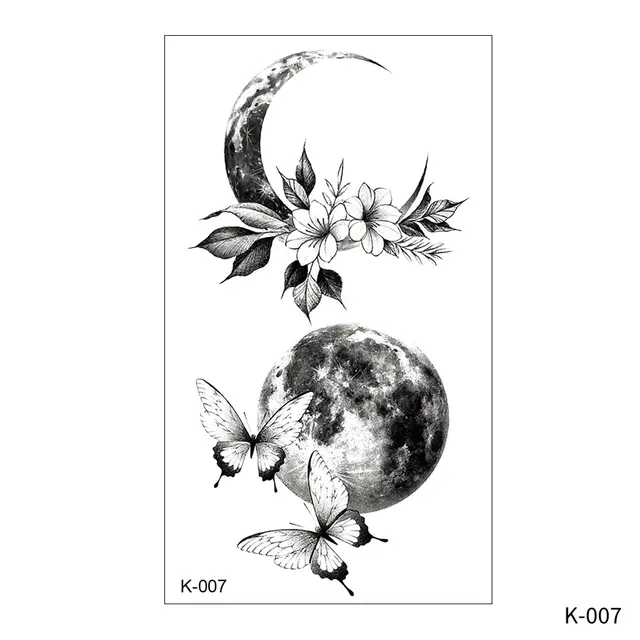 Image 13