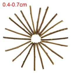 100-Pack Natural Matatabi Catnip Sticks for Dental Health and Play (100Pcs)