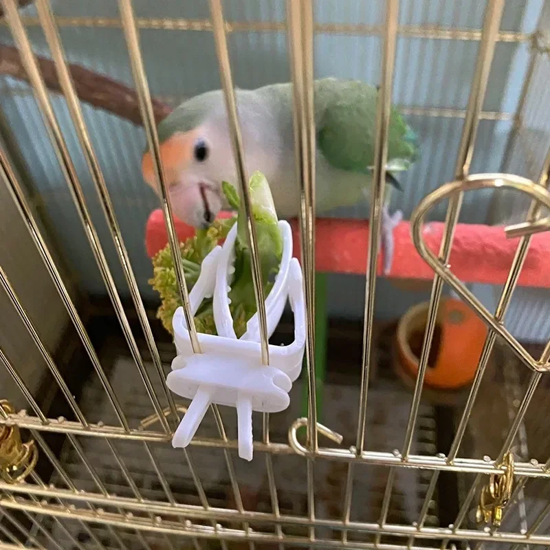Birds Food Holder Pet Parrot Feeding Fruit Vegtable Clip Cuttlefish Bone Feeder Device Pin Clamp Bird Cage Accessories
