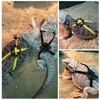 Adjustable Reptile Lizard Harness Leash Training Walking Rope Pet Leash Anti-Bite Harness Leash Pet Collar Chest Strap Lizard 2