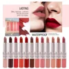 1PC Pink Lipstick Sexy Lip Gloss 2 in 1 Lip Tint Waterproof Long -Lasting Moisture Red Lip Matte Lipstick MakeUp for Women