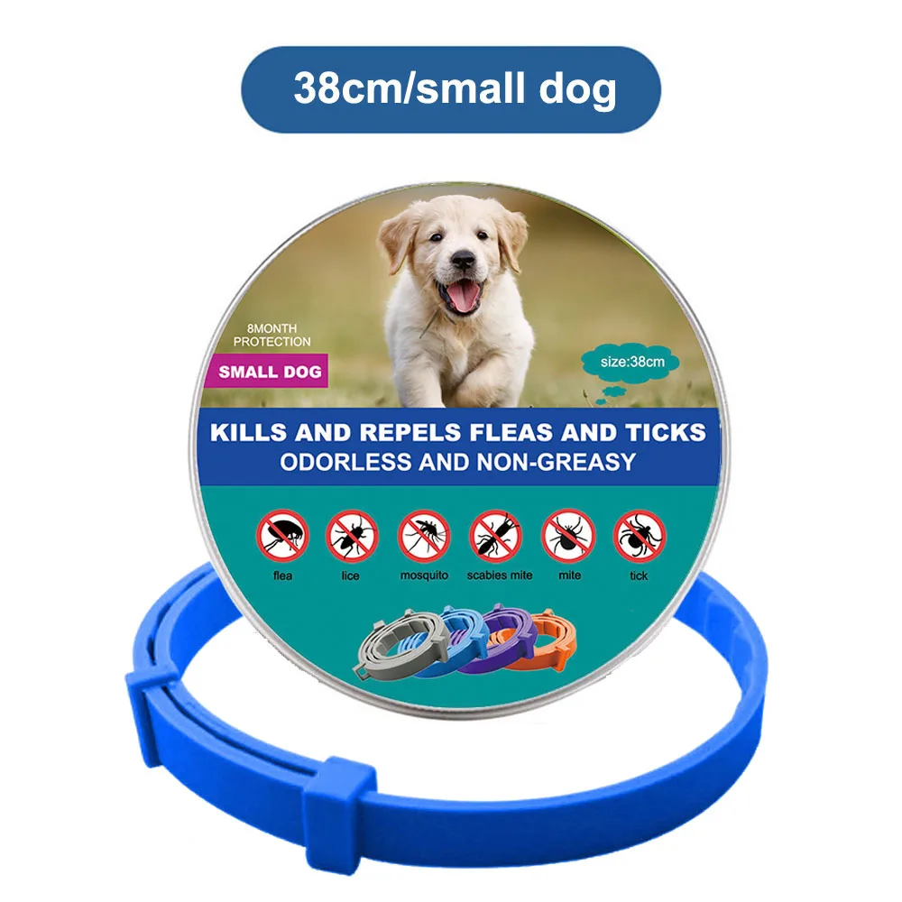blue (small dogs)