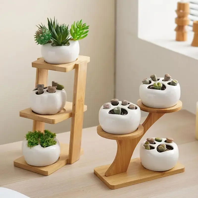 Desktop Creative Flower Rack Succulent Rack Office Living Room Small Flower Display Succulent Small