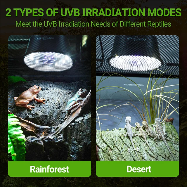 Reptile LED/UVB Lamp 2 Mode Switching Lizard Turtle Calcium Supplement Heating Light Amphibians Breeding Box Lighting Supplies 1