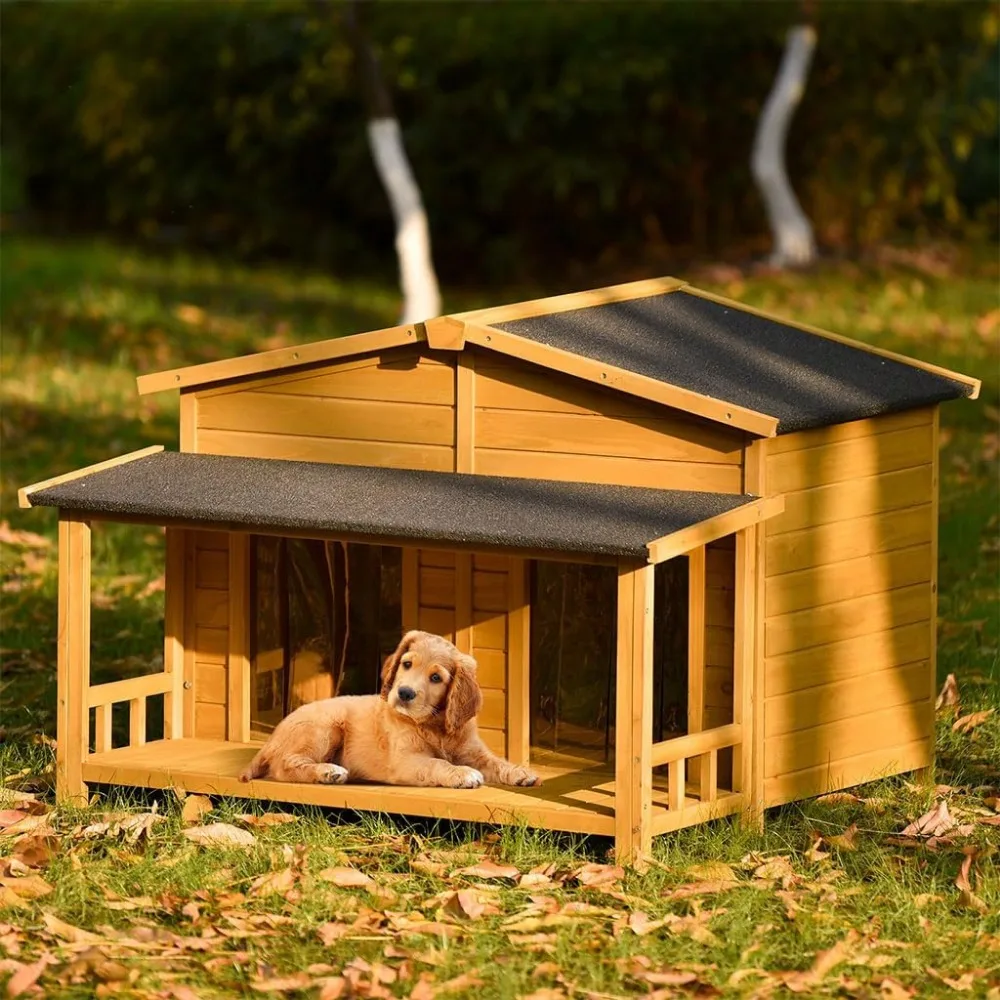 Large Dog House for 2 Dogs 5