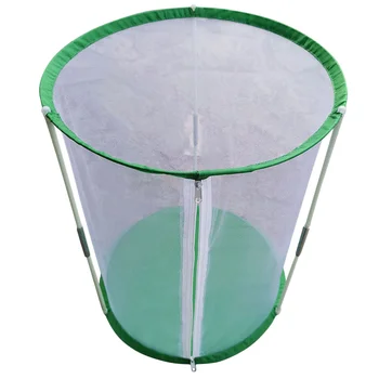 Butterfly Insect Cage Observation Butterflies Habitat Kids Portable Breeding House Visible Insects