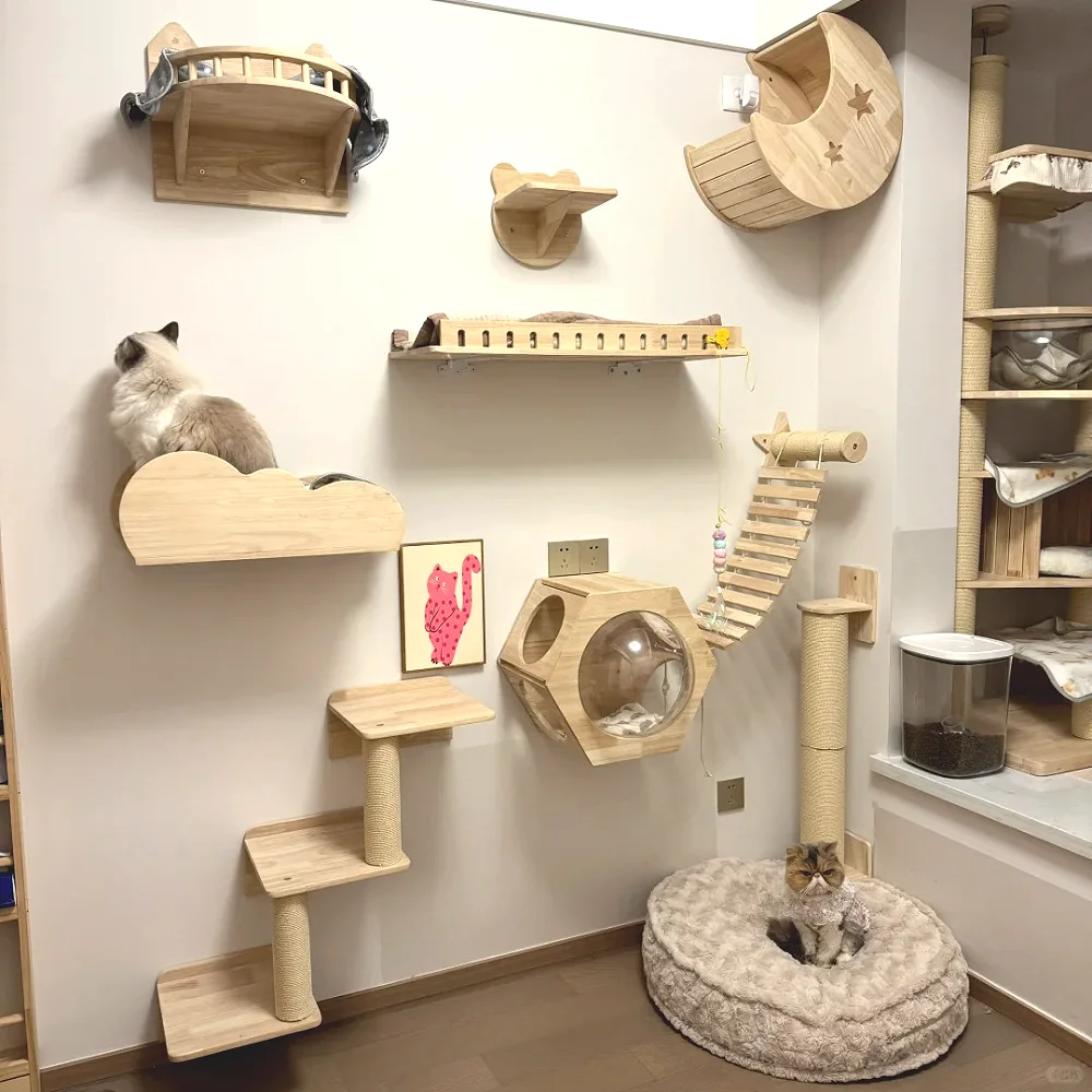 Photo inspiration: Gallery Detail: Indoor Cat Wall Playground The Real Life Solution For Small