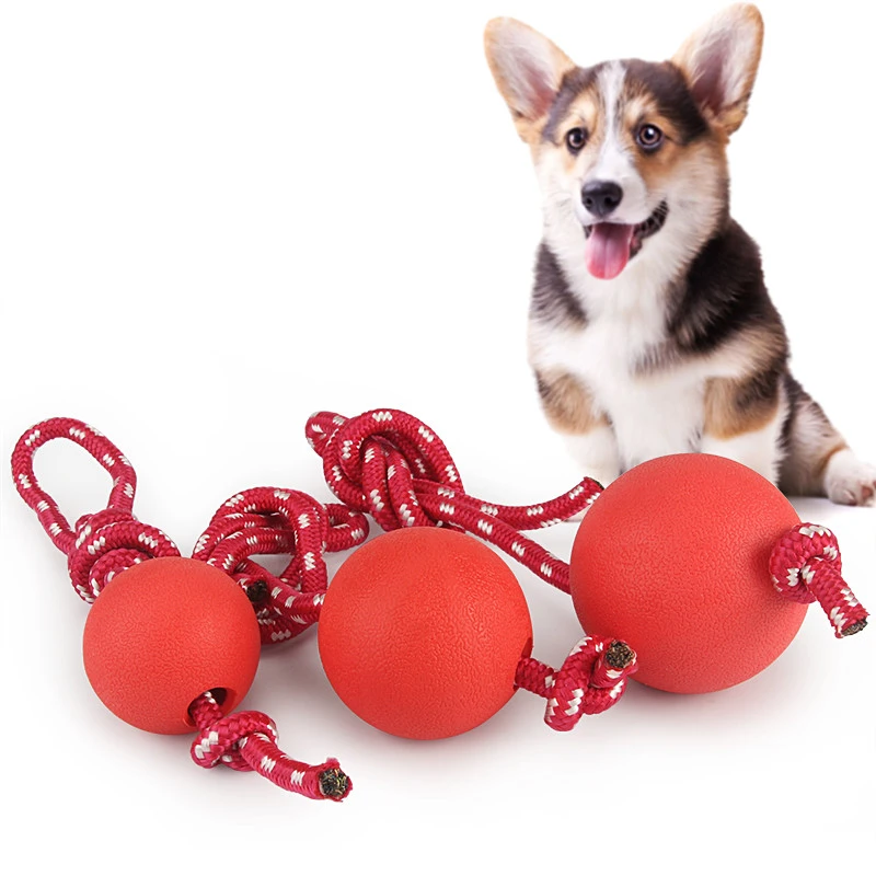 Why Does My Dog Have Red Balls