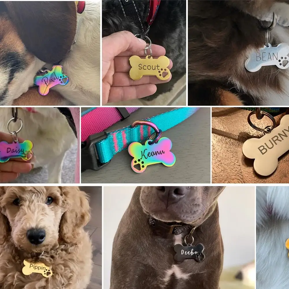 Personalized Pet ID Tag Safety Anti-Loss Dog Cat Tag with Instant Info Custom Engraved Stainless Steel Name Tag Durable Pet Tag