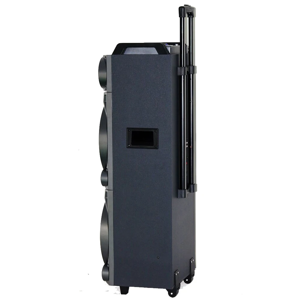 160W Big Power Dual 12 inch Echo Bass Karaoke Dj Speaker Wireless Bluetooth DSP Led Flashing Light Outdoor Trolley Party Speaker