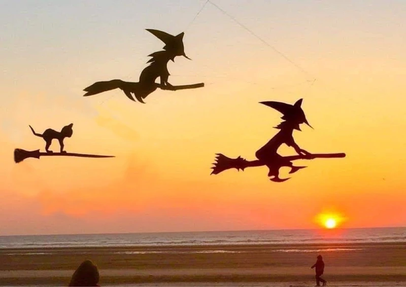 free-shipping-Witch-kite-large-inflatable-kite-3d-kite-for-adults-kites